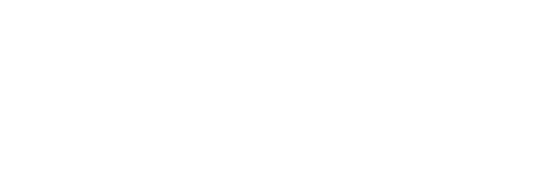 Jobmint AI
